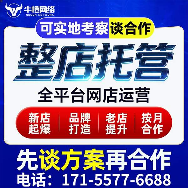 敦煌电商代运营