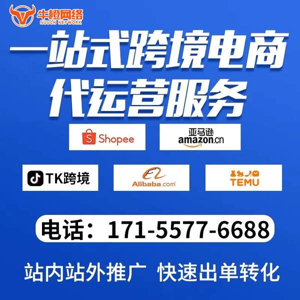 敦煌电商代运营