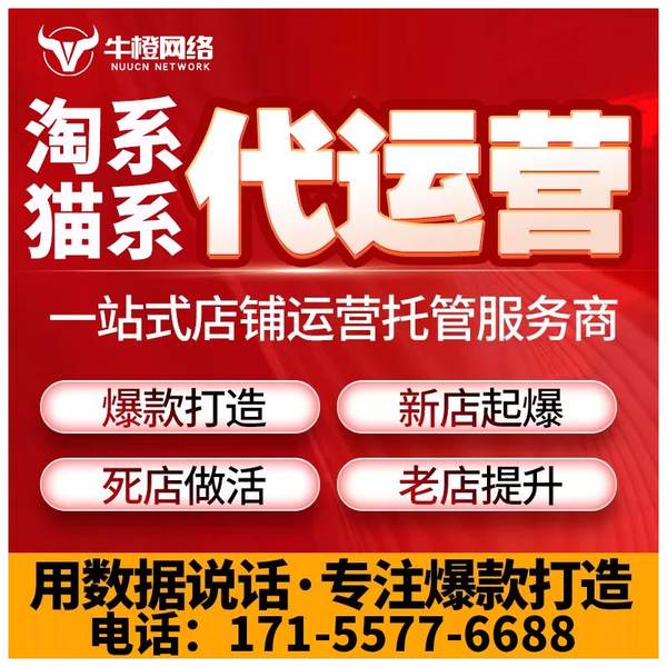 敦煌电商代运营